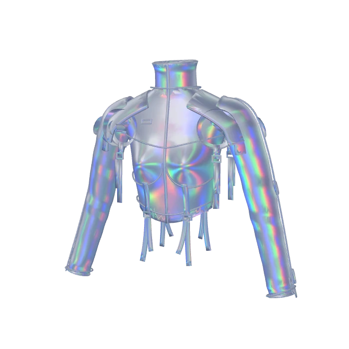 mt-01-holo-jacket